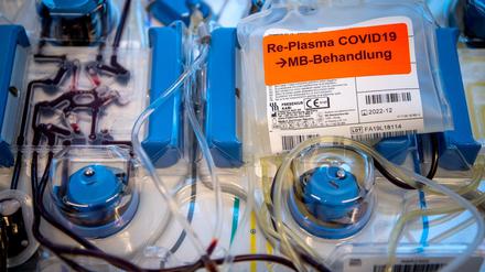 Plasma mit Corona-Antikörpern wird aus dem Blut einer Spenderin gewonnen.