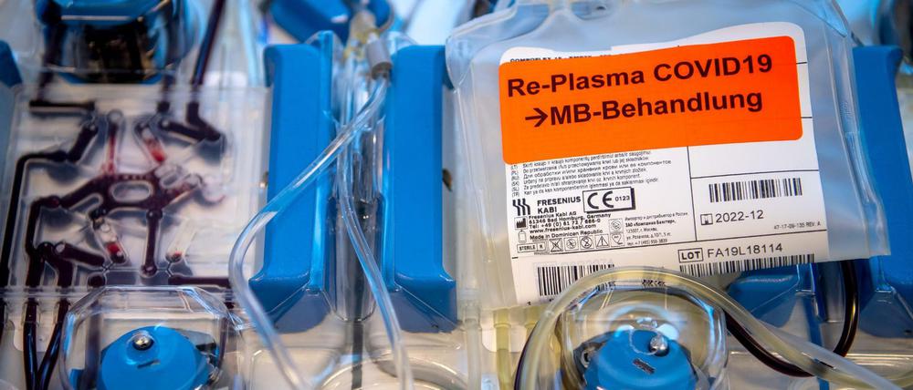 Plasma mit Corona-Antikörpern wird aus dem Blut einer Spenderin gewonnen.