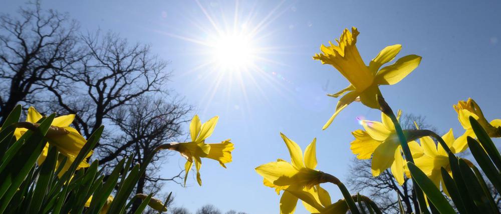 Das Land war in den vergangenen Tagen mit Sonne und warmen Temperaturen verwöhnt.