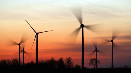 Windräder drehen sich im Abendlicht.