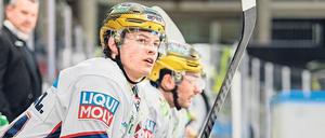 Große Zukunft im Blick. Eisbären-Stürmer Lukas Reichel. 