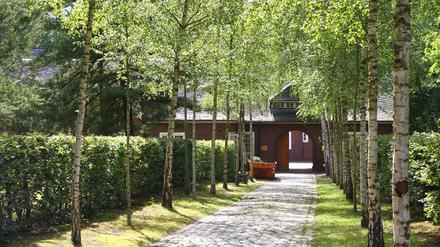 Birkengesäumter Weg zum Mittelhof, einem historischen Gebäudeensemble.