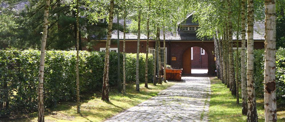 Birkengesäumter Weg zum Mittelhof, einem historischen Gebäudeensemble.