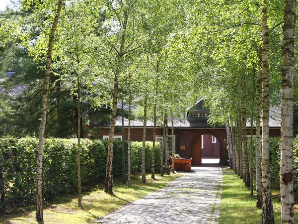 Birkengesäumter Weg zum Mittelhof, einem historischen Gebäudeensemble.