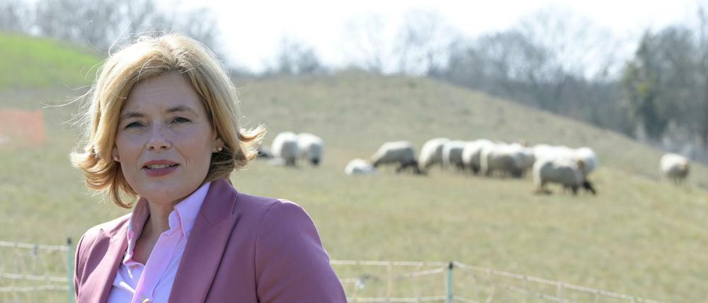 Wie soll mehr Tierwohl finanziert werden? Julia Klöckner legt sich bislang nicht fest.