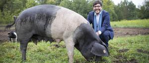 Berlins noch amtierender Justizsenator Dirk Behrendt (Grüne) neben einem Deutschen Sattelschwein in der Domäne Dahlem.