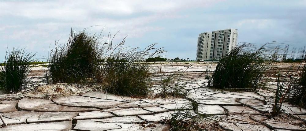 Tiefe Risse sind im ausgetrockneten Boden der Mangrovensümpfe von Cancun zu sehen