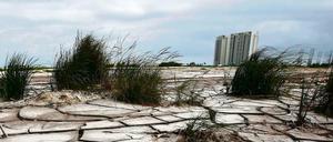 Tiefe Risse sind im ausgetrockneten Boden der Mangrovensümpfe von Cancun zu sehen