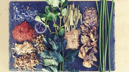 Die Zutaten für Mumiengirlanden, darunter Kornblume, Distel, Alraune und Papyrus.