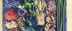 Die Zutaten für Mumiengirlanden, darunter Kornblume, Distel, Alraune und Papyrus.
