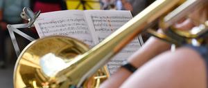 Auch in diesem Jahr wollen die Initiatoren die Fête de la Musique ins Netz verlegen. Die Idee stammt aus Frankreich und wird seit 1995 jährlich in Berlin gefeiert.
