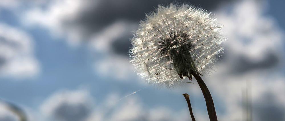 Der warme Frühling lässt noch auf sich warten.