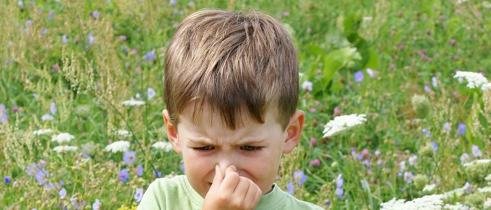 Bei Schnupfen machen Kinder Bekanntschaft mit neuen Erregern.