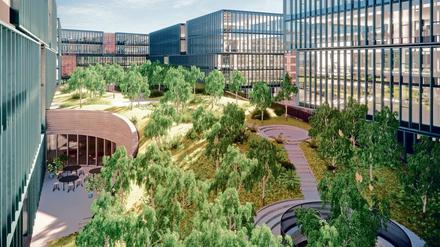 Eine Landschaftsbrücke und ein Landschaftsgarten ziehen sich in einem grünen Band über den Campus und verbinden die Gebäude, sagen die Investoren. 