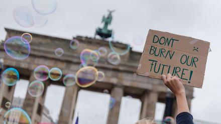 Die Fridays for Future-Aktivisten dürfen sich bestätigt fühlen. 