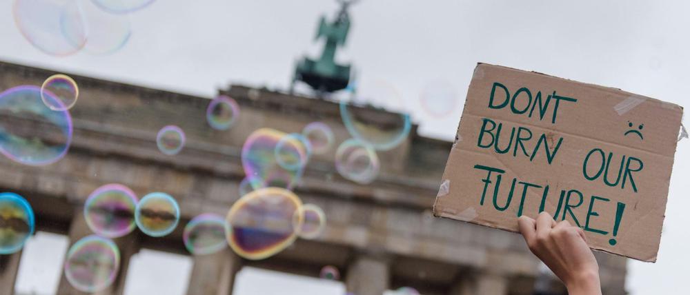 Die Fridays for Future-Aktivisten dürfen sich bestätigt fühlen. 