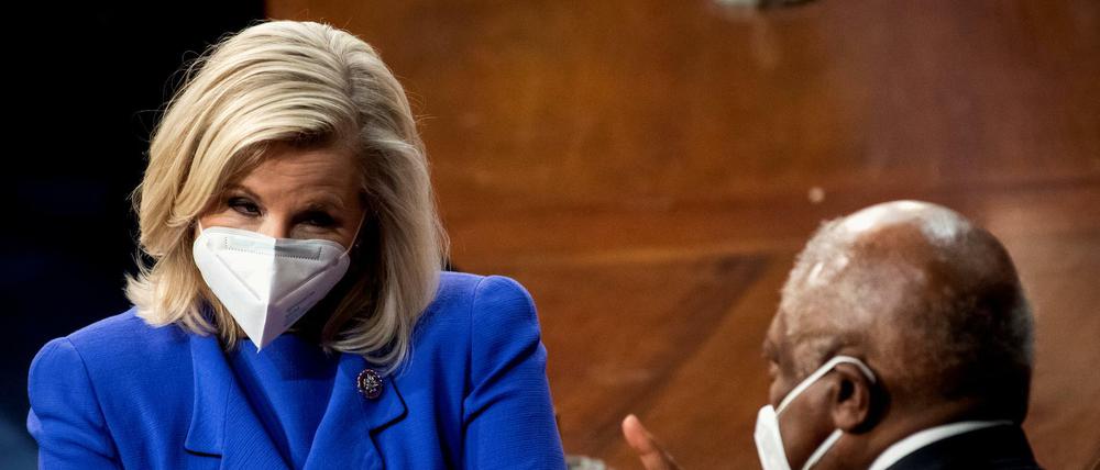 Unter Druck aus den eigenen Reihen: Liz Cheney