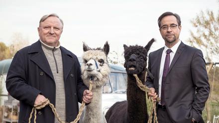 An den Alpaka-Haaren herbeigezogen. So wirken derzeit viele Twitter-Kommentare zur Schauspieleraktion #allesdichtmachen, an der auffallend viele "Tatort"-Kommissare teilgenommen haben. Jan Josef Liefers - hier in seiner Rolle als Karl-Friedrich Boerne - gehört zu ihnen, Axel Prahl, der im Münster-Tatort Kommissar Frank Thiel spielt, nicht. 
