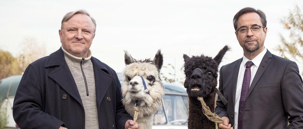 An den Alpaka-Haaren herbeigezogen. So wirken derzeit viele Twitter-Kommentare zur Schauspieleraktion #allesdichtmachen, an der auffallend viele "Tatort"-Kommissare teilgenommen haben. Jan Josef Liefers - hier in seiner Rolle als Karl-Friedrich Boerne - gehört zu ihnen, Axel Prahl, der im Münster-Tatort Kommissar Frank Thiel spielt, nicht.