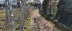 Sand und Zäune. Wenig Platz bietet der Spreeradweg derzeit. Er wird verbreitert, aber nicht asphaltiert.