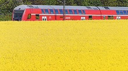 Sind gerade auf den Pendlerstrecken nach Berlin oft voll: Regionalzüge in Brandenburg.