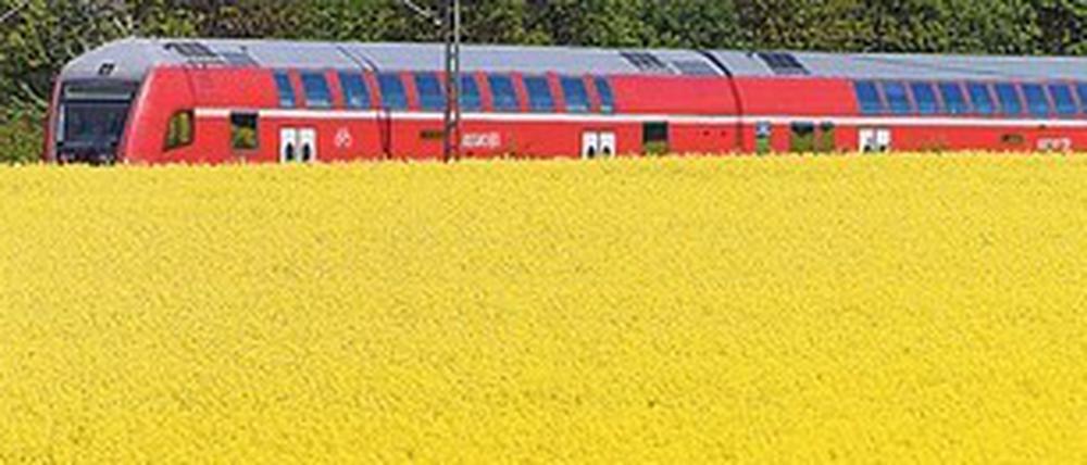 Sind gerade auf den Pendlerstrecken nach Berlin oft voll: Regionalzüge in Brandenburg.