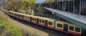 Ein neuer Zug der neuesten S-Bahn-Baureihe 483/484 in Berlin (April 2021).