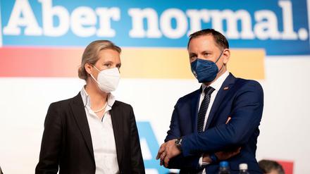 Alice Weidel und ihr Verbündeter Tino Chrupalla.