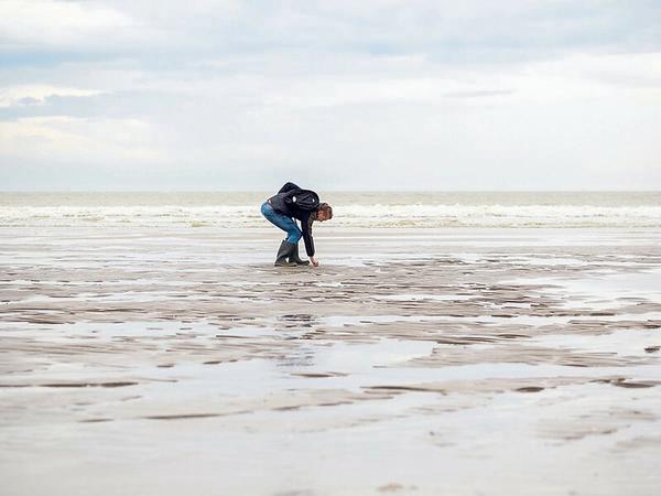 Eine Strandläuferin bückt sich am Wassersaum nach einem vermutlichen Fundstück.