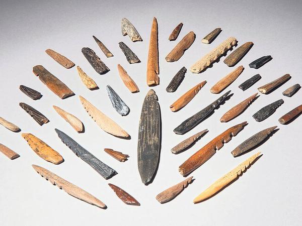 Fächerförmig ausgelegte Sammlung von Speer- und Pfeilspitzen.