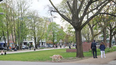 Hundehalter mit frei laufendem Hund und spielende Kinder am neu gestalteten Olivaer Platz in Berlin-Wilmersdorf.