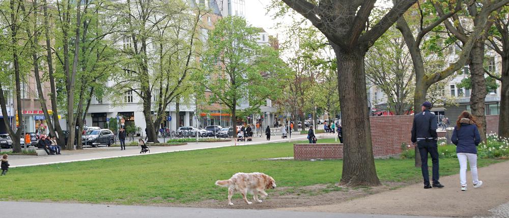 Hundehalter mit frei laufendem Hund und spielende Kinder am neu gestalteten Olivaer Platz in Berlin-Wilmersdorf.