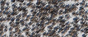 Wilde Rentiere in Hardangervidda, Norwegen.