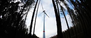 Ein Windrad im Wald Peterberg bei Vossenack in NRW. 