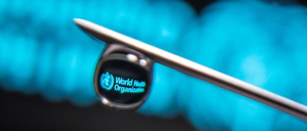 Nach Kritik an der Weltgesundheitsorganisation haben Experten untersucht, ob die Corona-Pandemie hätte verhindert werden können.