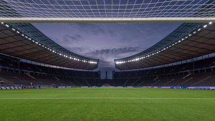 Neben Hertha BSC könnte auch bald Viktoria 1889 seine Heimspiele im Olympiastadion austragen. 