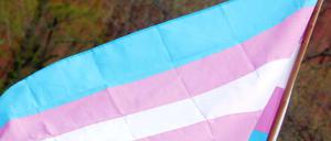 Die Transgender-Fahne. 