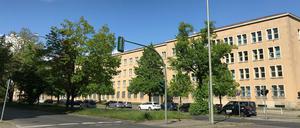 Rund 60 Bäume stehen auf dem Mittelstreifen des Tempelhofer Damms in Berlin-Tempelhof.