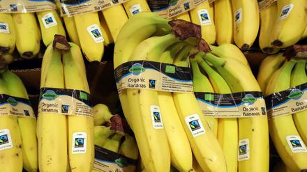 Fair gehandelte Bananen werden ebenso wie fairer Reis an den Berliner Grundschulkantinen angeboten. Die Hauptstadt darf sich mit dem Titel "Fairtrade Town" schmücken.