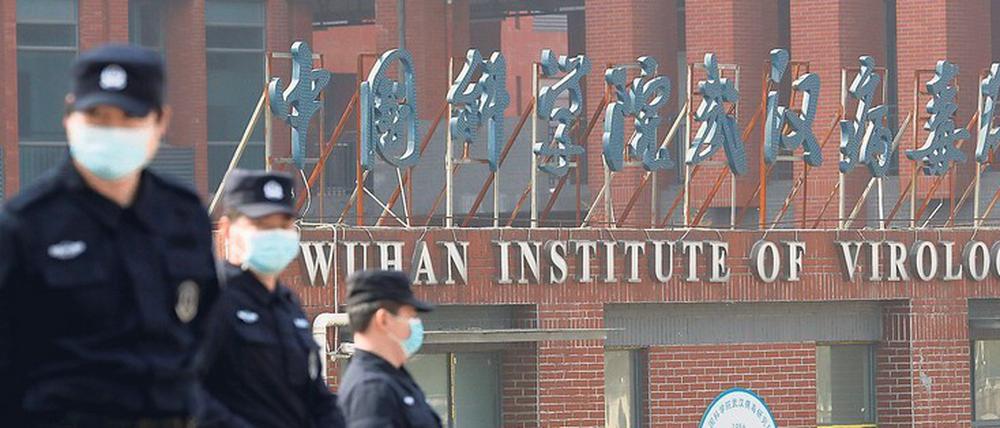 Begann es hier? Im Institut für Virologie in Wuhan soll Ende 2019 zu Corona-Viren bei Fledermäusen geforscht worden sein.