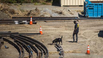 Eine K-9-Einheit der Strafverfolgungsbehörden sucht nach Beweisen auf dem Stadtbahnhof der Valley Transportation Authority (VTA)
