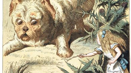 Aice und das Übermütige Hündchen. Illustration von John Tenniel.: