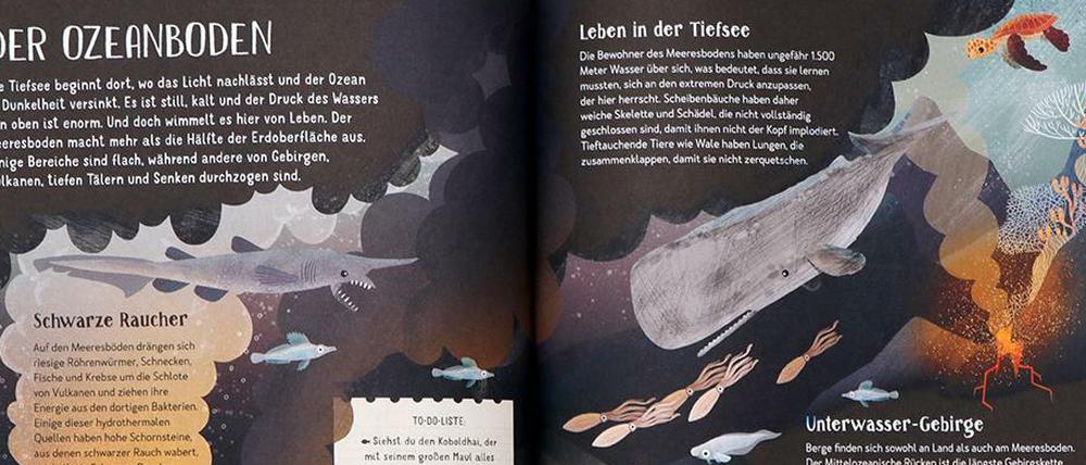 Die Textblöcke ermöglichen den Vorlesenden, die Informationsflut ans Alter des zuhörenden Kindes anzupassen.