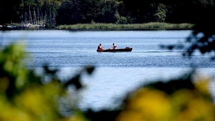 Die Blaualgenkonzentration im Tegeler See sei zu hoch - dies könne Badegäste gefährden. 