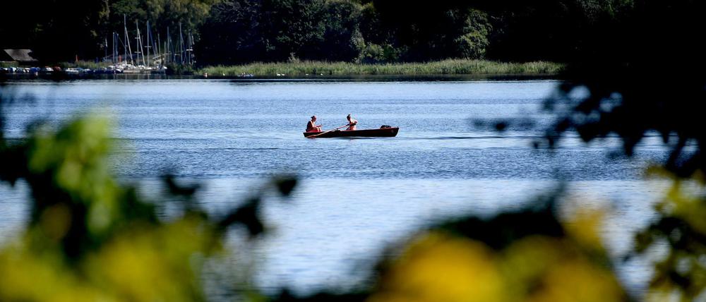 Die Blaualgenkonzentration im Tegeler See sei zu hoch - dies könne Badegäste gefährden.