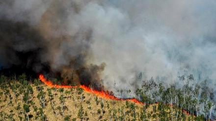 Derzeit gilt für acht Brandenburger Landkreise die zweithöchste Waldbrandwarnstufe vier, für sieben Landkreise gilt Stufe drei.