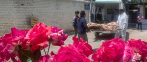 Ein Corona-Opfer wird in ein Krematorium gebracht. In Indien wurden 1742 Corona-Waisen und 7464 Corona-Halbwaisen erfasst. 