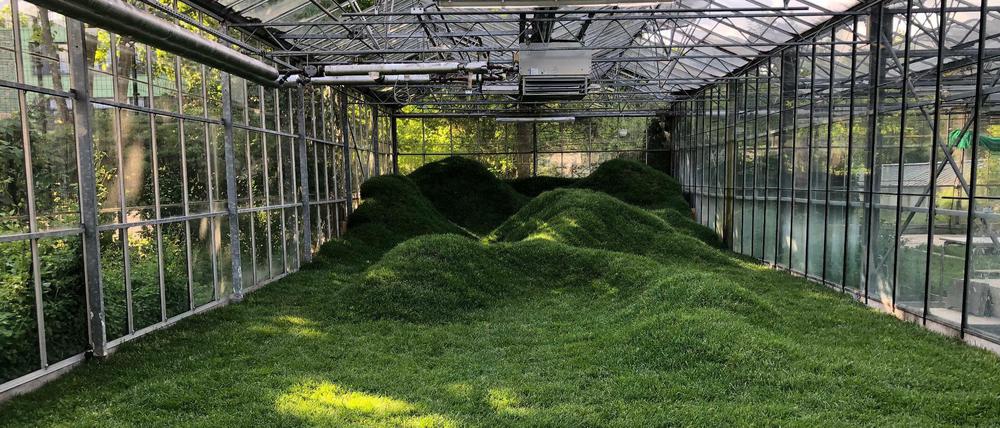 Installation "Escaping Realities" der Künstlerin Anna de Carlo in einem Gewächshaus bei der Festivalausgabe 2021.