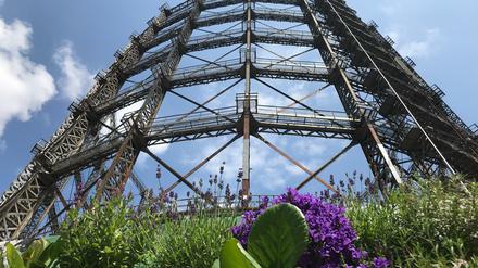 Noch transparent. Doch das Innere des Gasometers in Berlin-Schöneberg soll ausgebaut werden.