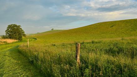 Die Morgensonne scheint über der Landschaft in der Uckermark.